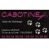 Cabotine - Salon de toilettage